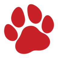 Reddogmedia logo