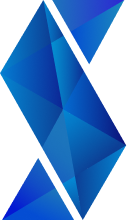 Salvo Software logo