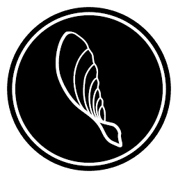 Samara Aerospace logo