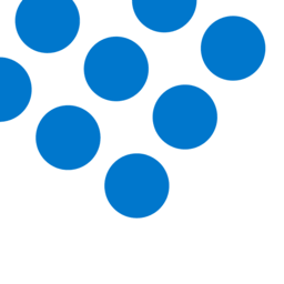 Schleswig-Holstein Netz AG logo