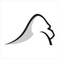 Silverbackstrategies logo