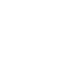 SYSTEMS PLANNING AND ANALYSIS, INC. logo