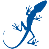 Starlizard Consulting Ltd logo