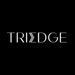 Triedge Investments logo