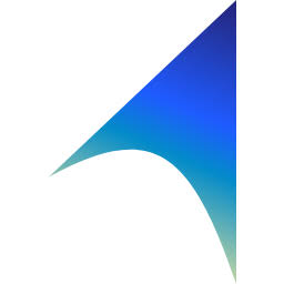 True North Insights logo