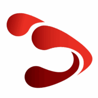 TSR Consulting Services, Inc. logo
