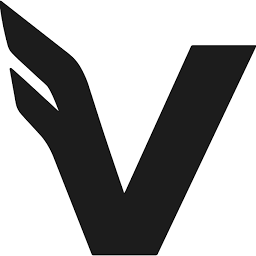 VALKYRIE logo