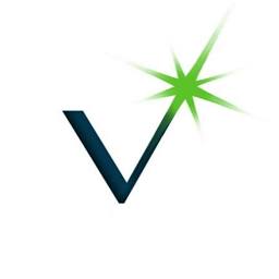 Vi-Leon logo