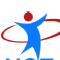 VST Consulting, Inc logo
