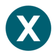 XACT PLACEMENTS LIMITED logo